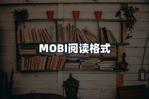 MOBI阅读格式